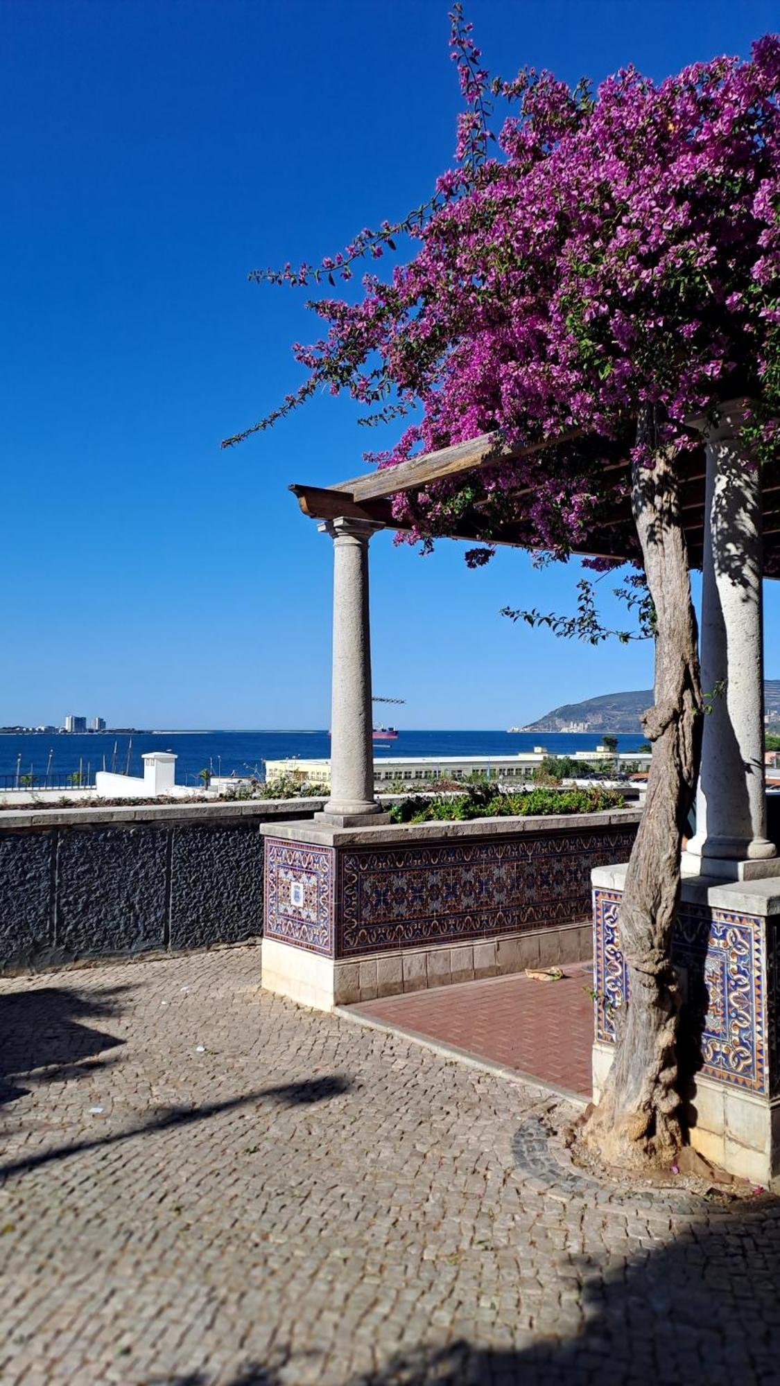 Apartmán Jangada Apartamento Setúbal Exteriér fotografie